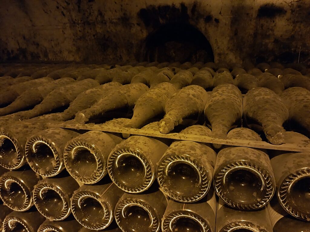 Champagne regions in Reims at Lanson champagne  champagne cellar image 