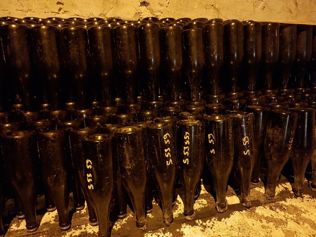 Champagne Edouard brun 14 Rue Marcel Mailly France Champagne bottles in cellar at champagne edouard brun